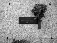 ���, ���� �����, �. ��������, �������� Mount Olivet Catholic Cemetery, ����������� ����� ������� ���� � ��� ������ (���������)