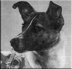 �����, 1957 ���