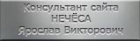Нечёса Ярослав Викторович (консультант сайта)