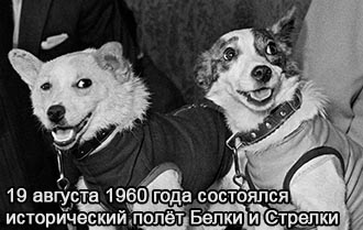 (������� ������) "19 ������� 1960 ���� ��������� ������������ ���� ����� � �������" (���� ����������� ������� ����� � �������, ����������� ���� �� ����� ������������� �������� �����; ����� ����� - �������� ���������; ������� ��������� ���������������� ����� ������� ������������ ����� �.�. ������������)