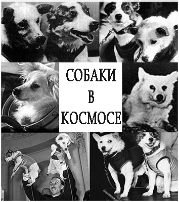 (������� ������) "������ � �������" (���� http://kik-sssr.ru)